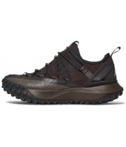 Кроссовки Nike ACG Mountain Fly Low Brown Basalt