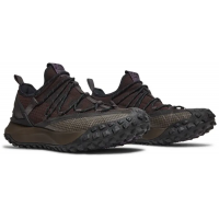 Кроссовки Nike ACG Mountain Fly Low Brown Basalt