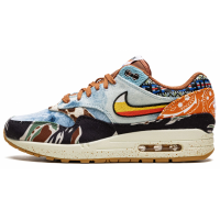 Кроссовки Nike Air Max 1 x Concepts SP Heavy
