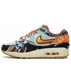 Кроссовки Nike Air Max 1 x Concepts SP Heavy