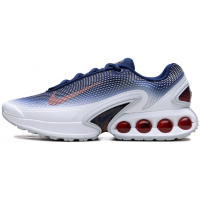 Кроссовки Nike Air Max DN Team USA