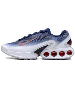 Кроссовки Nike Air Max DN Team USA