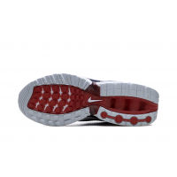 Кроссовки Nike Air Max DN Team USA