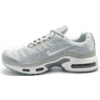 Кроссовки Nike Air Max TN Plus Grey