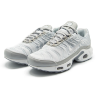 Кроссовки Nike Air Max TN Plus Grey
